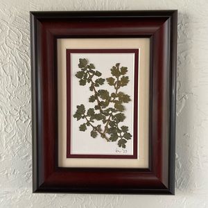 Dried press, floral leaves in beautiful wooden frame.